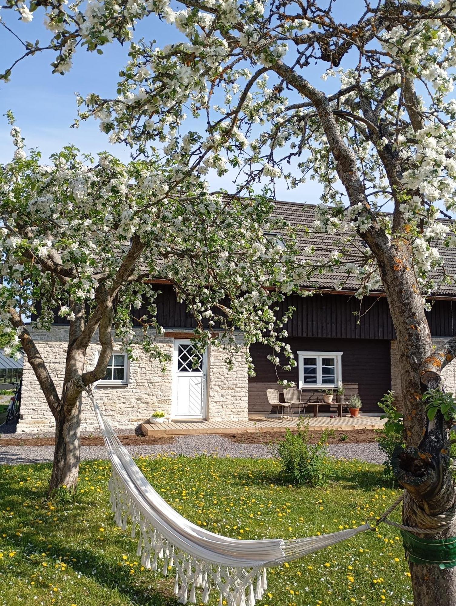 Hotel Loo Kodu&Koeoek Muraste Zewnętrze zdjęcie